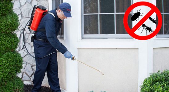 Kınık Hamam Böceği İlaçlama böcek ilaçlama ve haşere kontrolü — ilaclama-tr.com